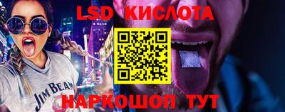 крисы Кулебаки