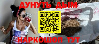 крисы Кулебаки