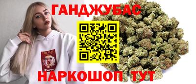 крисы Кулебаки