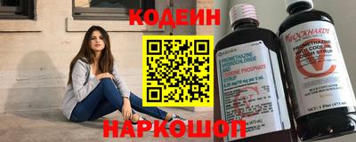 крисы Кулебаки