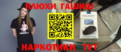 крисы Кулебаки